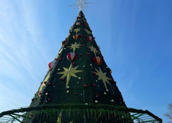 Prefeitura antecipa luzes de Natal na Ponta Negra e movimenta economia criativa com programação inédita
