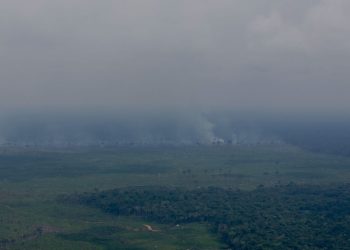 Fumaça cobre o céu de Borba após possível crime ambiental