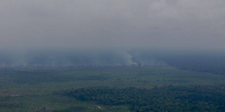 Fumaça cobre o céu de Borba após possível crime ambiental