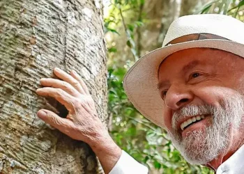 Governo aposta em US$ 10 bi para Fundo de Florestas, mas diplomatas veem meta como ambiciosa