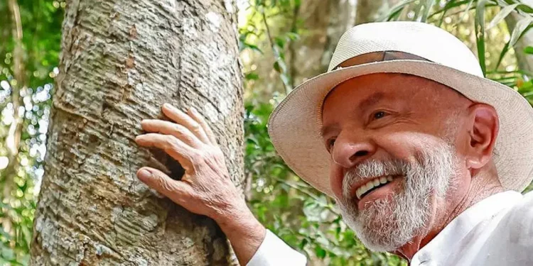 Governo aposta em US$ 10 bi para Fundo de Florestas, mas diplomatas veem meta como ambiciosa