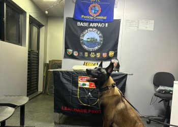 Mulher presa com cocaína dentro de embarcação no Rio Solimões