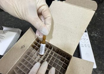 Dentista é preso por submeter pacientes a procedimentos estéticos não autorizados e transferências bancárias indevidas