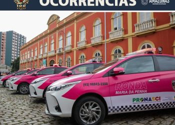 Em Fonte Boa, Polícia Militar do Amazonas prende homem que agrediu companheira e invadiu casa