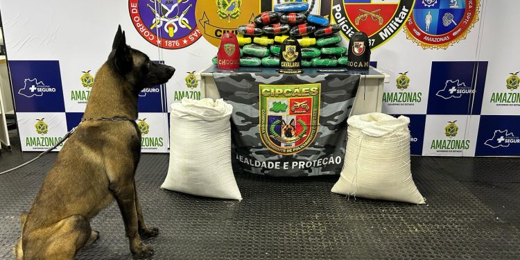 Líder na região norte, Amazonas é o 6° estado que mais apreende drogas no país