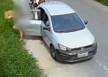 PC-AM identifica mãe e filha que abandonaram caixa com filhotes de cachorro em matagal na zona norte de Manaus O crime foi praticado em setembro deste ano e foi registrado por câmeras de segurança A Polícia Civil do Amazonas (PC-AM), por meio da Delegacia Especializada em Crimes contra o Meio Ambiente e Urbanismo (Dema), identificou, na segunda-feira (17/11), mãe e filha, de 45 e 18 anos, investigadas por maus-tratos a animais, após abandonarem filhotes de cachorro e uma cadela em uma caixa em um matagal no bairro Nova Cidade, zona norte de Manaus. Ambas responderão pelo crime de maus-tratos. Segundo a delegada Juliana Viga, o crime foi praticado em setembro deste ano e foi registrado por câmeras de segurança próximas ao local, que flagraram o momento em que a jovem desce do veículo e deixa os animais em um matagal de um terreno baldio, enquanto a mãe permanece dentro do veículo. “Após investigações sobre o caso e com a ajuda da população, identificamos as autoras. Elas foram notificadas e compareceram à delegacia, onde foram ouvidas e confessaram que, de fato, abandonaram os animais no local, contudo, alegaram que os animais não eram delas, mas que haviam sido abandonados na porta de sua residência”, explicou a delegada. Ambas responderão pelo crime de maus-tratos a animais e ficarão à disposição da Justiça. FOTOS: Erlon Rodrigues e Divulgação/PC-AM.