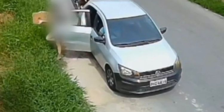 PC-AM identifica mãe e filha que abandonaram caixa com filhotes de cachorro em matagal na zona norte de Manaus O crime foi praticado em setembro deste ano e foi registrado por câmeras de segurança A Polícia Civil do Amazonas (PC-AM), por meio da Delegacia Especializada em Crimes contra o Meio Ambiente e Urbanismo (Dema), identificou, na segunda-feira (17/11), mãe e filha, de 45 e 18 anos, investigadas por maus-tratos a animais, após abandonarem filhotes de cachorro e uma cadela em uma caixa em um matagal no bairro Nova Cidade, zona norte de Manaus. Ambas responderão pelo crime de maus-tratos. Segundo a delegada Juliana Viga, o crime foi praticado em setembro deste ano e foi registrado por câmeras de segurança próximas ao local, que flagraram o momento em que a jovem desce do veículo e deixa os animais em um matagal de um terreno baldio, enquanto a mãe permanece dentro do veículo. “Após investigações sobre o caso e com a ajuda da população, identificamos as autoras. Elas foram notificadas e compareceram à delegacia, onde foram ouvidas e confessaram que, de fato, abandonaram os animais no local, contudo, alegaram que os animais não eram delas, mas que haviam sido abandonados na porta de sua residência”, explicou a delegada. Ambas responderão pelo crime de maus-tratos a animais e ficarão à disposição da Justiça. FOTOS: Erlon Rodrigues e Divulgação/PC-AM.