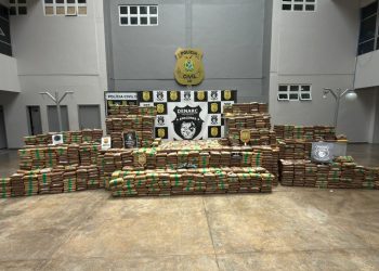 PC-AM apreende mais de uma tonelada de skunk em sítio de Iranduba e prende cinco suspeitos