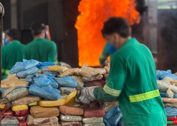 Polícia Civil do Amazonas incinera quatro toneladas de entorpecentes apreendidos ao longo deste ano