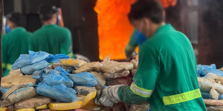 Polícia Civil do Amazonas incinera quatro toneladas de entorpecentes apreendidos ao longo deste ano