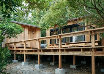 Arquitetura regenerativa ganha força na Amazônia com foco em sustentabilidade