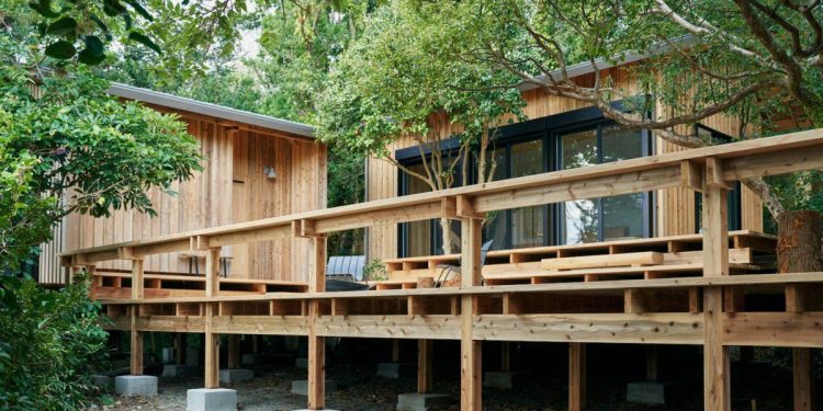 Arquitetura regenerativa ganha força na Amazônia com foco em sustentabilidade