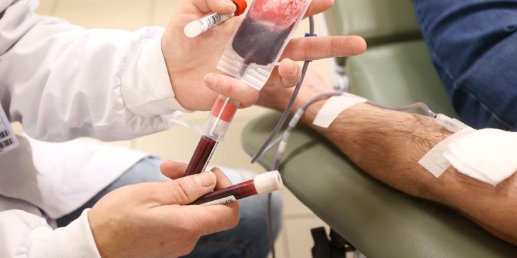 Semana Nacional da Doação de Sangue: oncologista reforça a importância do gesto para pacientes em tratamento contra o câncer