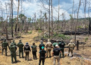 Ipaam aplica mais de R$ 13 milhões em multas durante a 8ª etapa da Operação Tamoiotatá 5