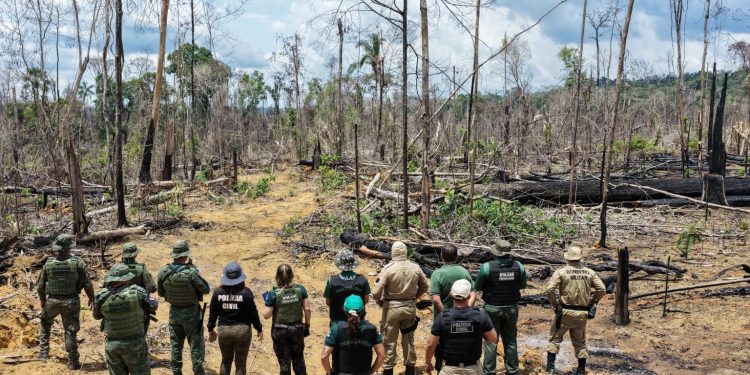 Ipaam aplica mais de R$ 13 milhões em multas durante a 8ª etapa da Operação Tamoiotatá 5