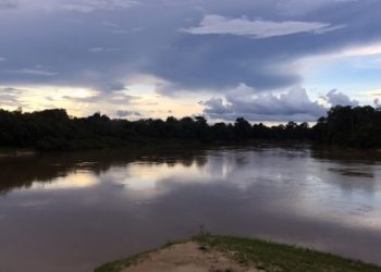 Destroços de avião desaparecido no AM é encontrado pela FAB