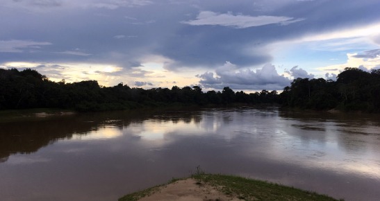 Destroços de avião desaparecido no AM é encontrado pela FAB
