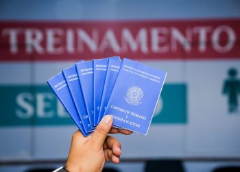 Sine Manaus oferta 224 vagas de emprego nesta segunda–feira, 29/12