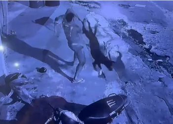 Rápida ação da PC-AM prende homem que agrediu e matou cachorro em Borba A prisão foi realizada em menos de uma hora após a equipe policial tomar conhecimento do crime Uma rápida ação da Polícia Civil do Amazonas (PC-AM), por meio da 74ª Delegacia Interativa de Polícia (DIP) de Borba, resultou na prisão de um homem, de 26 anos, suspeito de agredir brutalmente um cachorro, causando a morte do animal, em via pública, no município. Conforme informado em coletiva de imprensa, nesta terça-feira (03/12), a prisão foi efetuada na manhã de segunda-feira (1º/12), logo após a equipe policial tomar conhecimento do crime. O delegado Jorge Arcanjo informou, na coletiva de imprensa, que a ação criminosa foi praticada na noite de domingo (30/11). Câmeras de segurança das proximidades registraram o momento em que o suspeito se aproxima do animal e o enforca. Após o cão já estar desfalecido, ele o arremessa diversas vezes ao chão, provocando a morte. “Tomamos conhecimento do fato na manhã seguinte, após o recebimento de uma denúncia acompanhada do vídeo do crime. De imediato, a equipe policial iniciou diligências para identificar e localizar o autor, que foi preso em menos de uma hora após a notoriedade do caso”, explicou o delegado. Segundo a autoridade policial, o autor desapareceu com o corpo do cachorro, cujo paradeiro ainda é desconhecido. A equipe realizou buscas para robustecer a materialidade do crime, e há indícios de que ele tenha jogado o corpo no rio, por ser próximo ao local, porém não foi localizado. Arcanjo ressaltou a rapidez da equipe da 74ª DIP de Borba na prisão e elucidação do caso. O homem foi localizado e preso na própria residência, no bairro Centro. Ele foi autuado em flagrante pelo crime de maus-tratos a animais, previsto na Lei de Crimes Ambientais, e ficará à disposição do Poder Judiciário. O indivíduo já havia sido preso, há alguns anos, pela prática do crime de importunação sexual. Ele se escondia nas laterais de residências e, quando avistava as moradoras, se masturbava na rua. Também foi verificado que ele faz uso de entorpecentes. A Polícia Civil reforça que seguirá atuando com rigor em casos de violência contra animais e qualquer outra forma de violação da lei. A Lei nº 14.064/2020 aumentou a pena para quem maltratar cães e gatos. Quem cometer esse crime será punido com 2 a 5 anos de reclusão, multa e proibição da guarda. Caso o crime resulte na morte do animal, a pena pode ser aumentada em até um terço.