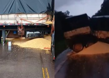 Caminhão com milho paralisa BR-174 após tombar na rodovia