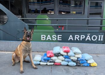Base Arpão 2: Drogas avaliadas em R$ 800 mil foram apreendidas em camarote do comandante de embarcação