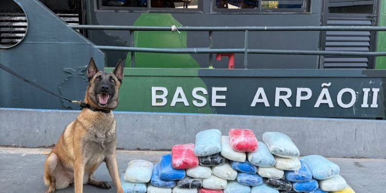 Base Arpão 2: Drogas avaliadas em R$ 800 mil foram apreendidas em camarote do comandante de embarcação
