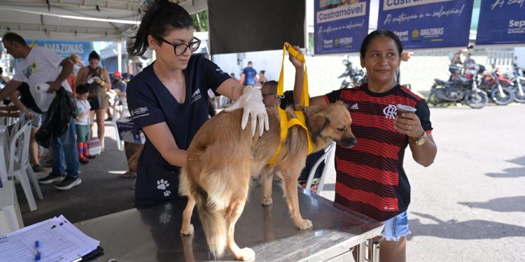 Sepet-AM realiza agendamento do Castramóvel durante o Governo Presente no Educandos