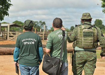 Ipaam lança edital de concurso público com 140 vagas e remuneração de até R$ 11,6 mil