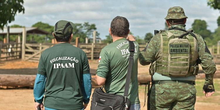Ipaam lança edital de concurso público com 140 vagas e remuneração de até R$ 11,6 mil