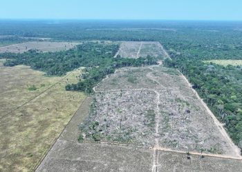 Operação Tamoiotatá 2025: Ipaam aplica R$ 144,7 milhões em multas por crimes ambientais no sul do Amazona