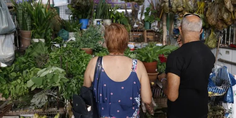 Tradição e fé impulsionam busca por banhos e ervas no fim de ano