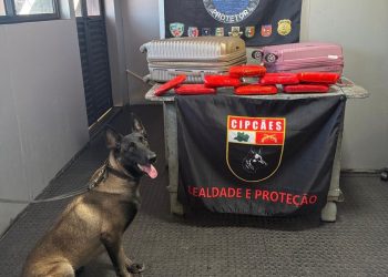 Base Arpão 2: Mulher é presa com mais de R$ 450 mil em drogas