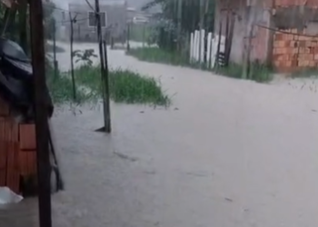 Forte chuva causa prejuízos em Manaus; bairros registram danos materiais