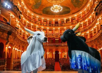 Cultura Viva: Inscrições para a 1ª Teia Amazonas começam nesta quinta-feira