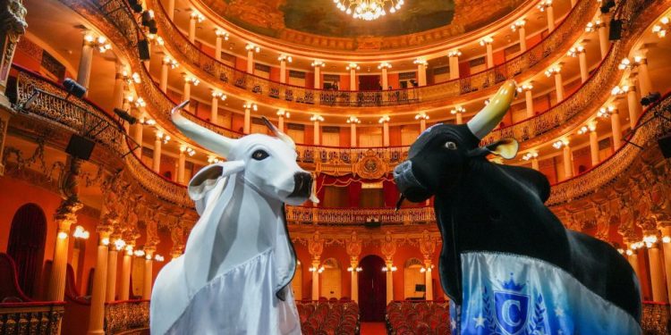 Cultura Viva: Inscrições para a 1ª Teia Amazonas começam nesta quinta-feira