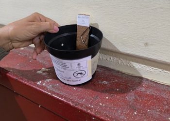 Prefeitura de Manaus utilizará nova estratégia para monitoramento e controle do Aedes aegypti em 2026