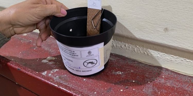 Prefeitura de Manaus utilizará nova estratégia para monitoramento e controle do Aedes aegypti em 2026