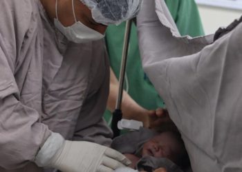 Instituto da Mulher Dona Lindu registra o parto do primeiro bebê de 2026 na rede estadual de saúde