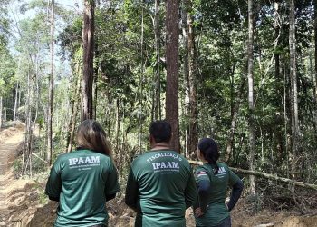 Período do Defeso Florestal inicia nesta quinta-feira no Amazonas