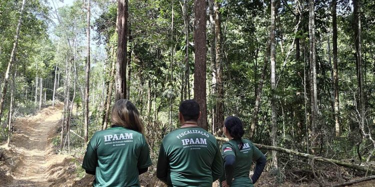 Período do Defeso Florestal inicia nesta quinta-feira no Amazonas