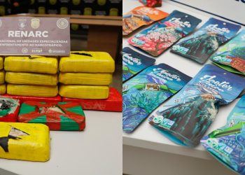 Polícia Civil apreende remessa de maconha líquida em Manaus com destino a Roraima