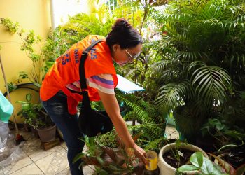 Prefeitura alerta sobre cuidados para prevenção a acidentes com animais peçonhentos em Manaus