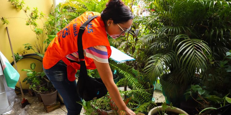 Prefeitura alerta sobre cuidados para prevenção a acidentes com animais peçonhentos em Manaus