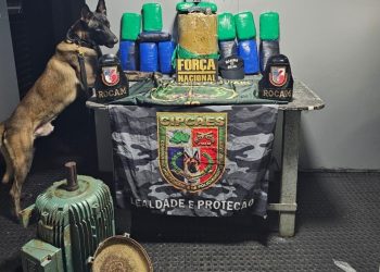 Base Arpão 2: PMAM apreende 60 kg de pasta-base de cocaína escondidos em motor elétrico e caixas de som