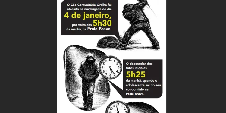 Cão Orelha: Polícia usa imagens e dados de celular para desvendar caso