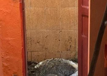 Homem é preso suspeito matar idoso e esconder o corpo em kitnet do bairro Zumbi