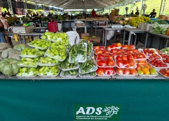 Feira de Produtos Regionais: ADS realiza 12 edições na primeira semana de março