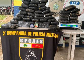PC-AM e PMAM apreendem maconha avaliada em R$ 1,1 milhão, em Benjamin Constant