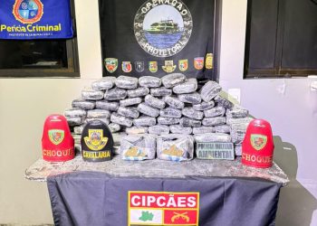 Operação nas Bases Tiradentes e Arpão 2 apreendem mais de 110 quilos de drogas em embarcações no Amazonas