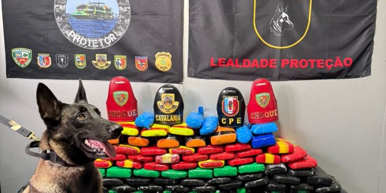 Bases fluviais apreendem 218 quilos de drogas em embarcações no Rio Solimões, durante final de semana